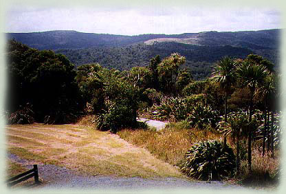 east from lookout