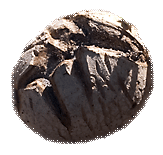 earthball, 2009