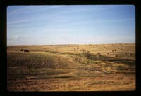 Fields with bales of hay