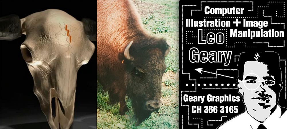 Leo poster, bison, and painted skull