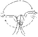 Omlulu Yoga Dance for Whole Coils