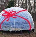 Wholeo dome giveaway