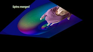 Spins merged
