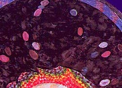 Wake Up to Orange, detail of prana