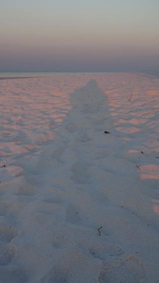 Shadow cast by rising sun points to where moon disappeared on the horizon