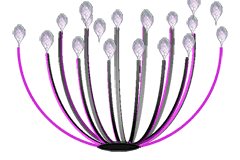 Upright hood, from Woman's Kundalini visions