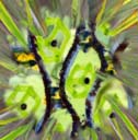 Growth force vision of the Longleaf pine forest 2014-11-12