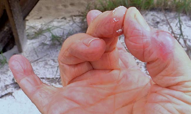 sand right hand mudra