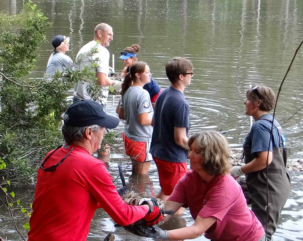 Building an Oyster Reef at Eden Garden SP
