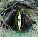 Eye of Gaia with Eyebing