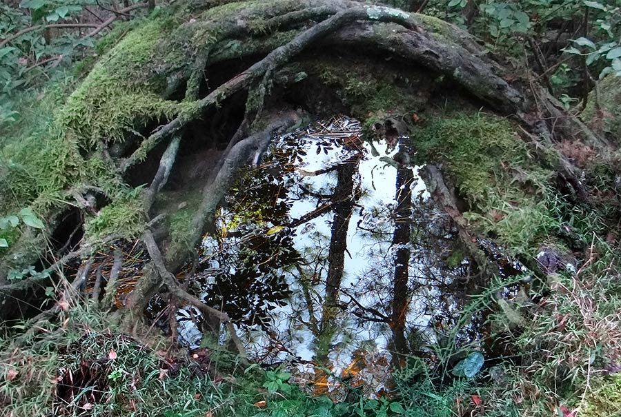 Eye of Gaia Creek Sky Catcher