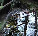 Eye of Gaia Creek Sky Catcher