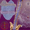 Galactic Moonbeam Mystsynthesis November 2013