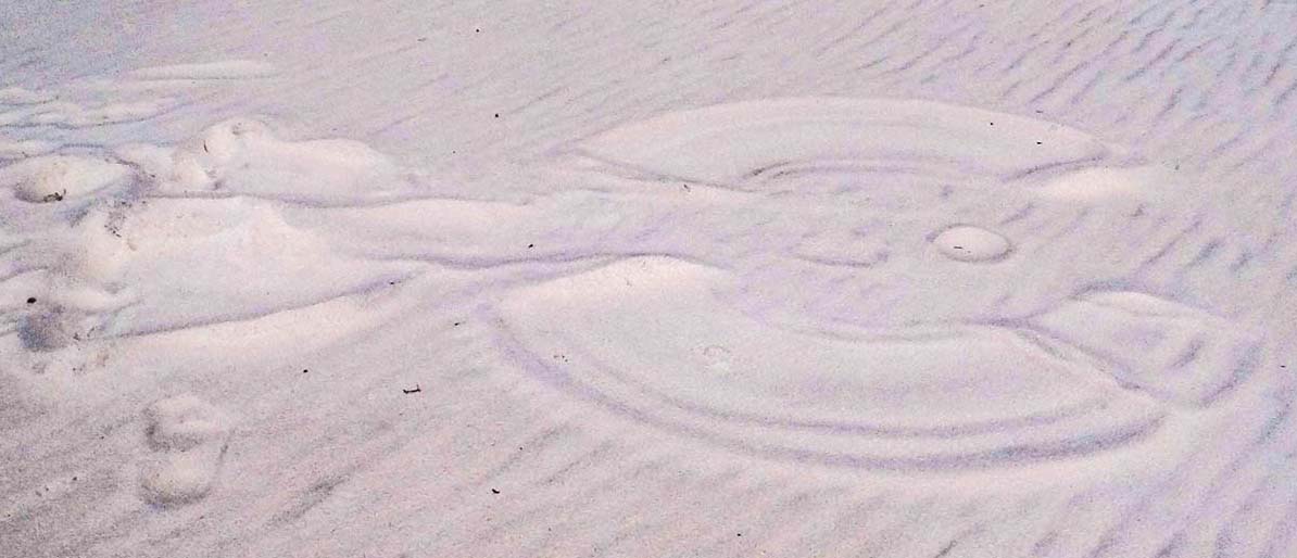 sand angel