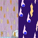 Connections through Cosmic Juices and Grace Drops