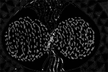 Spirit Coil, Prayer phase
