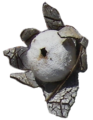 earthstar open