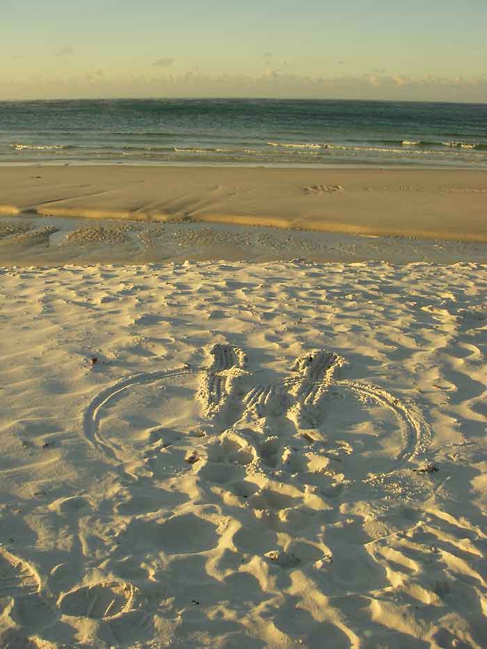 morning meditation traces
