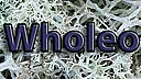 logo on lichen