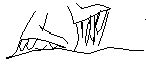 Sticky Feet (Leo energy traces in New Zealand)