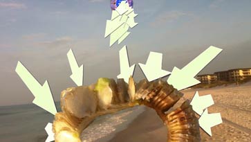arrows into aura