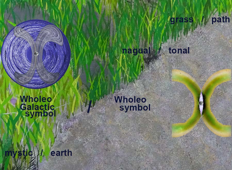 Wholeo Galactic and Wholeo logos with Grass/Path symbols