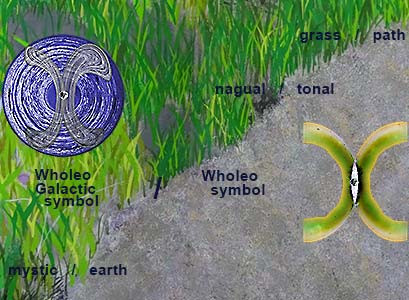 Wholeo Galactic and Wholeo symbols with Grass/Path