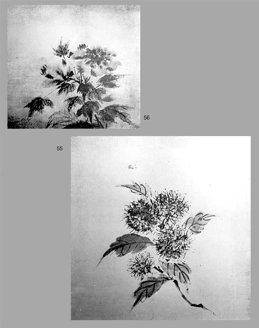 55-56