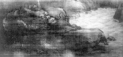 77