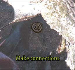 Make connections