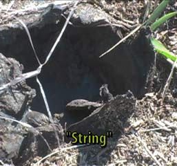 "String" earthball