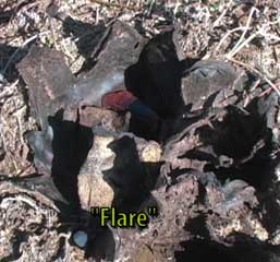 Flare