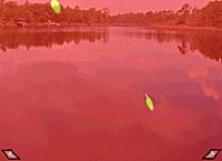 color changing