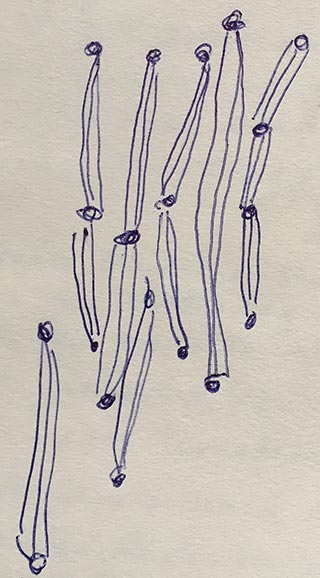 Thread and bead beings
