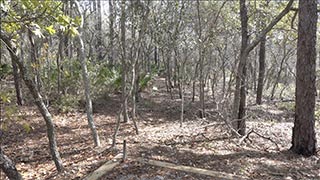 Looking east from campsite #4