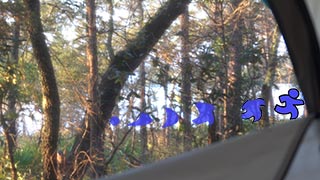 Follow Equinox 2018. Strange hallucination: a little blue figure running along lake edge. More than one, like six.