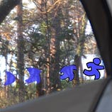 Strange hallucination. Like a little blue figure running along the edge of the lake.