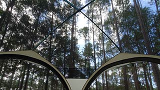 Content windows and roof of netting
