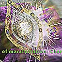 Light changes with feminine light vibes, 2016-04-20
