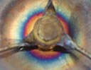 Camp stove aura colors from the Old Age Retreat 2016, 2016-03-09