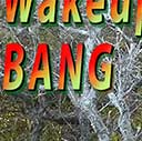 Wakeup BANG, 2016-05-04