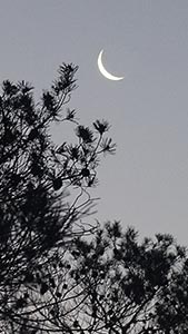 Waning moon