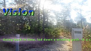 Vision