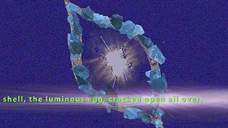 Shell Cracked