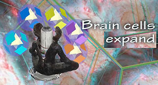 BCX 5 brain cells expand