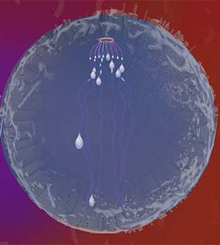 Receiving Drops flowing down