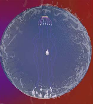Grounding Drops