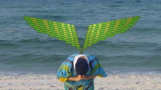 Gypsy glass wings springing from crystal