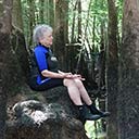 Nature Meditation, 2016-07-13
