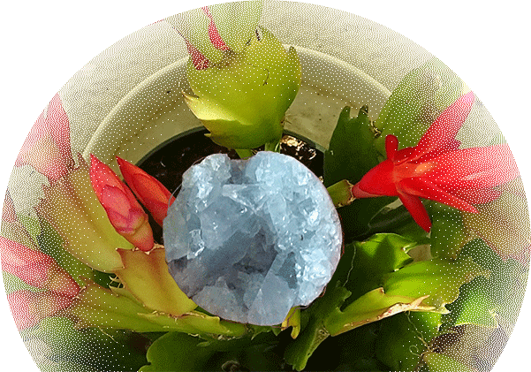 Geome crystal